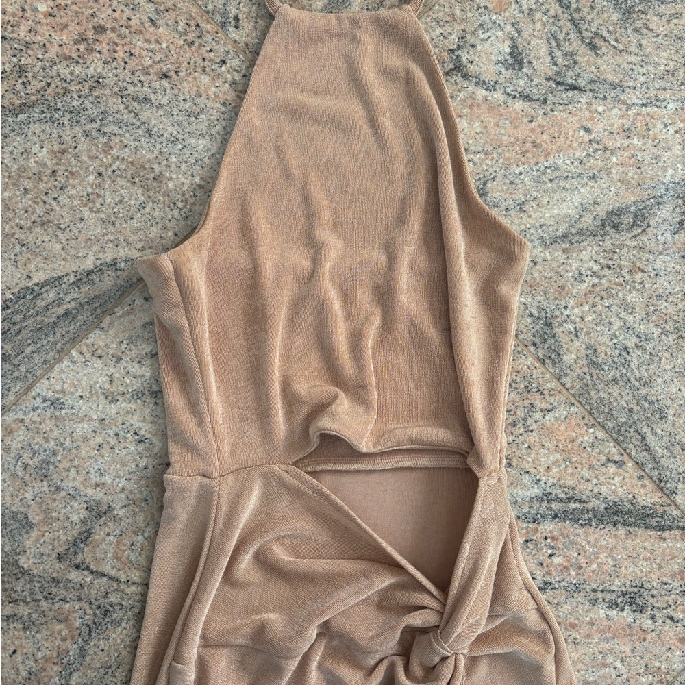Petal and Pup dress